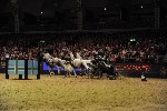 Extreme - 00837